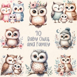 Babyuilen en familie clipart png sublimatie downloadbundel - kinderkamer kunst - babykamer decor - kinderkamer decor - T-uil kunst - commercieel gebruik