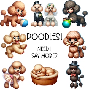 60 Poodles Clipart PNG and SVG Sublimation Bundle Digital Download - Poodle Images - Pet Motif - Dog Graphics - Commercial and POD Use