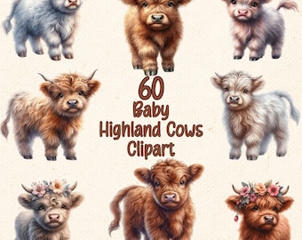 Watercolor Baby Highland Cow Clipart Bundle: Commercial Use PNG Downloads