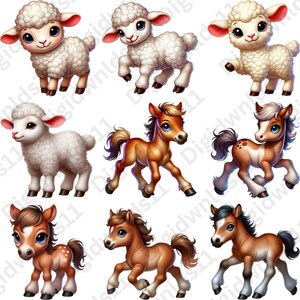 This is 9 of the 70 baby farm animals included in this PNG sublimation bundle digital download including 4 lambs and 5 ponies.