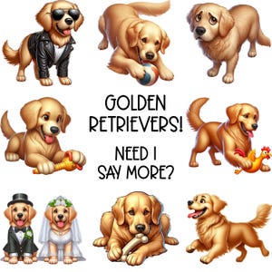 50 Golden Retrievers Clipart PNG and SVG Sublimation Bundle Digital Download - Dog Images - Pet Designs - Commercial Use