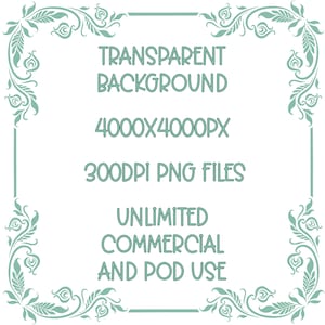 This displays the features included with each downloaded image which are a transparent background, 4000x4000px, 300 dpi, PNG Files, and have unlimited commercial and POD (print on demand) use.