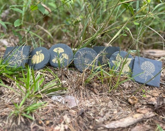 Black Slate coasters with nature themes.  Choose from mushroom, magnolia, hydrangea, sweet gum leaf, honey bee, pumpkin, or deer.  Golden!