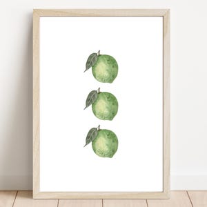 Three Limes Print | Watercolour Lime Wall Art | Green Fruit Kitchen Print | Minimalist Citrus Artwork | Digital Download