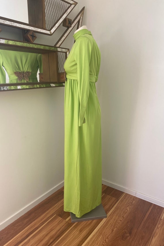 Vintage 70s Maxi Green Butterfly Dress - image 6