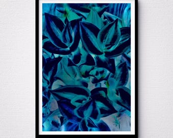 Blau Grün Sukkulente Kunstdruck: Abstraktes Pflanzenfoto (Digitaler Download)