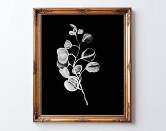 May include: A framed botanical art print featuring a white eucalyptus branch sketch on a black background. The artwork is enclosed in a gold-colored ornate frame, creating a classic and elegant aesthetic. The print is suitable for home decor.
