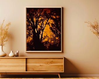 Arte mural fotográfico sepia de árboles otoñales: Impresión artística de Bosque Encantado (Descarga digital)