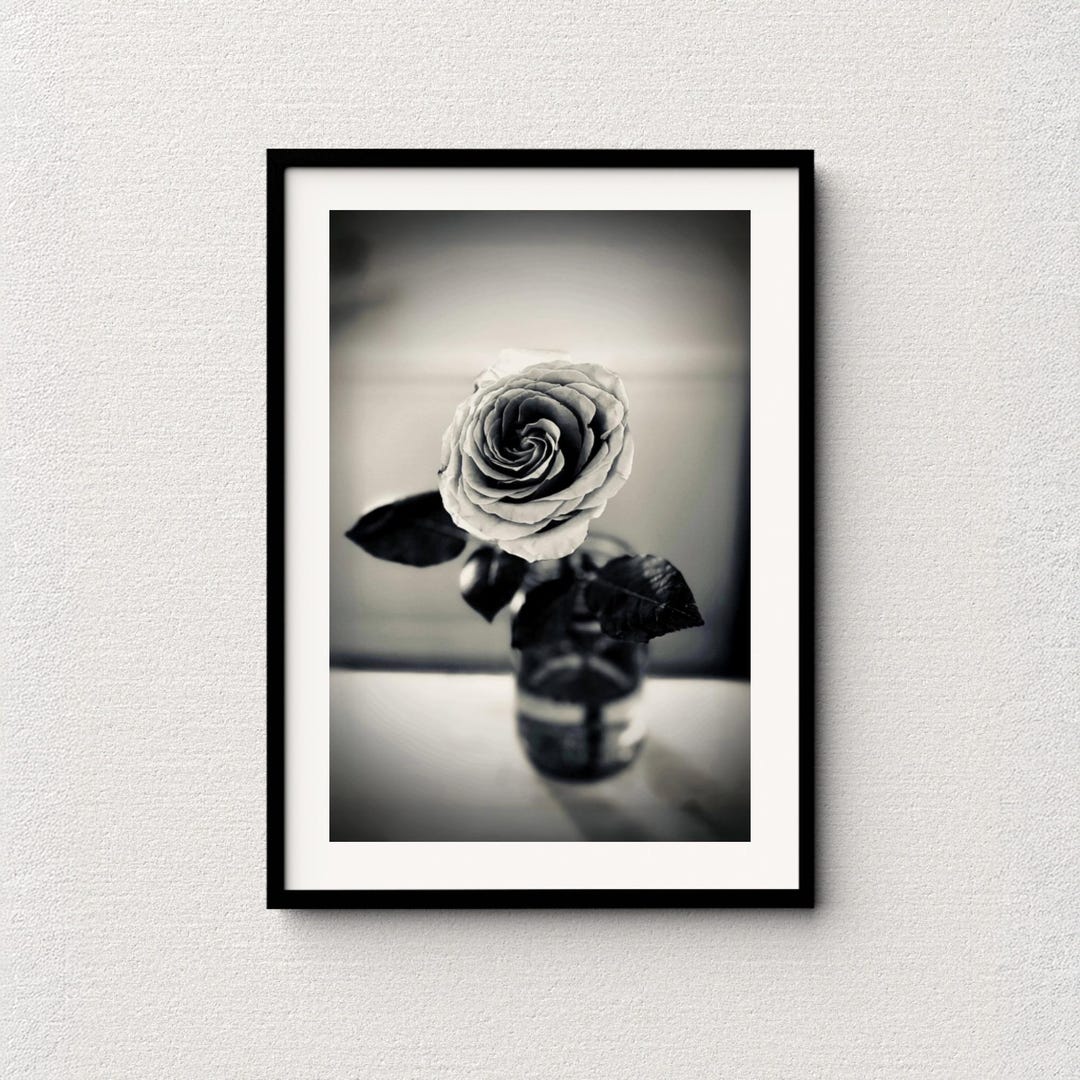 Monochrome Rose Photography Print: Elegant Floral Wall Art (digital ...