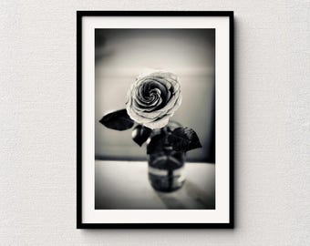 Monochrome Rose Photography Print: Elegant Floral Wall Art (Digital Download
