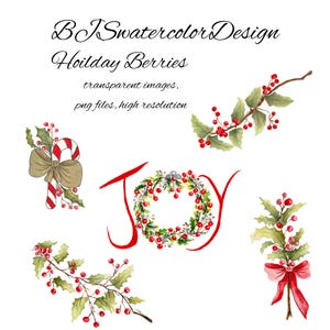 Christmas Holly Berries Bundle Watercolor Clipart PNG 400 DPI | Holly Clipart, Winter Greenery, Transparent PNG, For Commercial Use