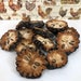 Ata Slices Primitive Potpourri Country Cottage Farmhouse Barn Decor Element