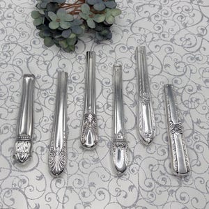 May include: A collection of antique silver-plated flatware, including forks and spoons, arranged on a patterned surface. The silverware features ornate designs and varying handle styles, reflecting a vintage aesthetic. The pieces are displayed with a sprig of green foliage.
