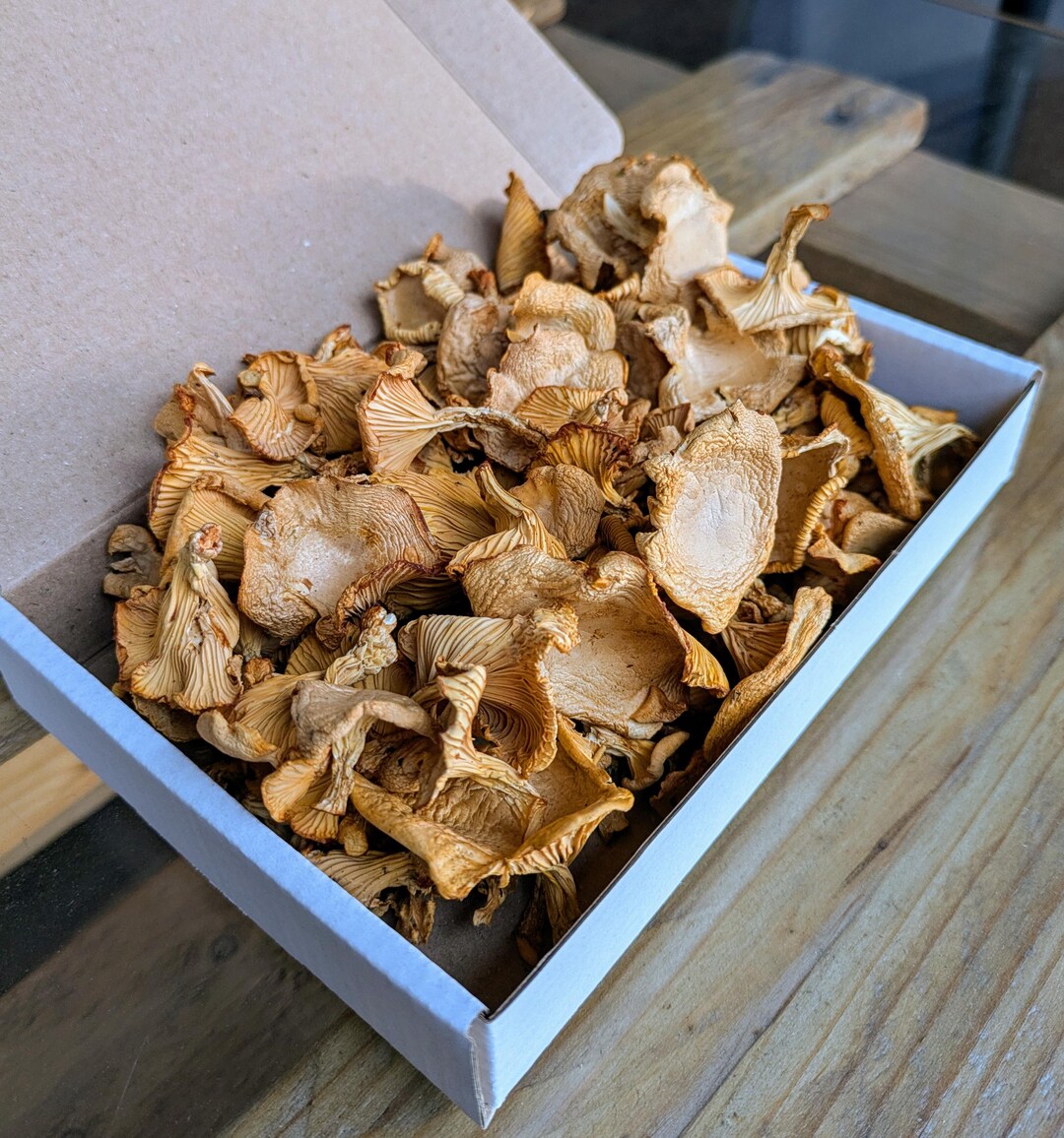 Wildcrafted Dried Chanterelle Mushrooms Organic From Finland 30g No Wildcrafted Dried Chanterelle Mushrooms Organic From Finland 30g No