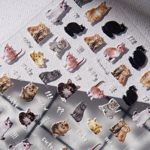 May include: Clear sheet of cat stickers in various colors and poses. The stickers feature different cat breeds, including black, gray, orange, and calico cats. Some stickers have the words "cute" and "meow" written on them.