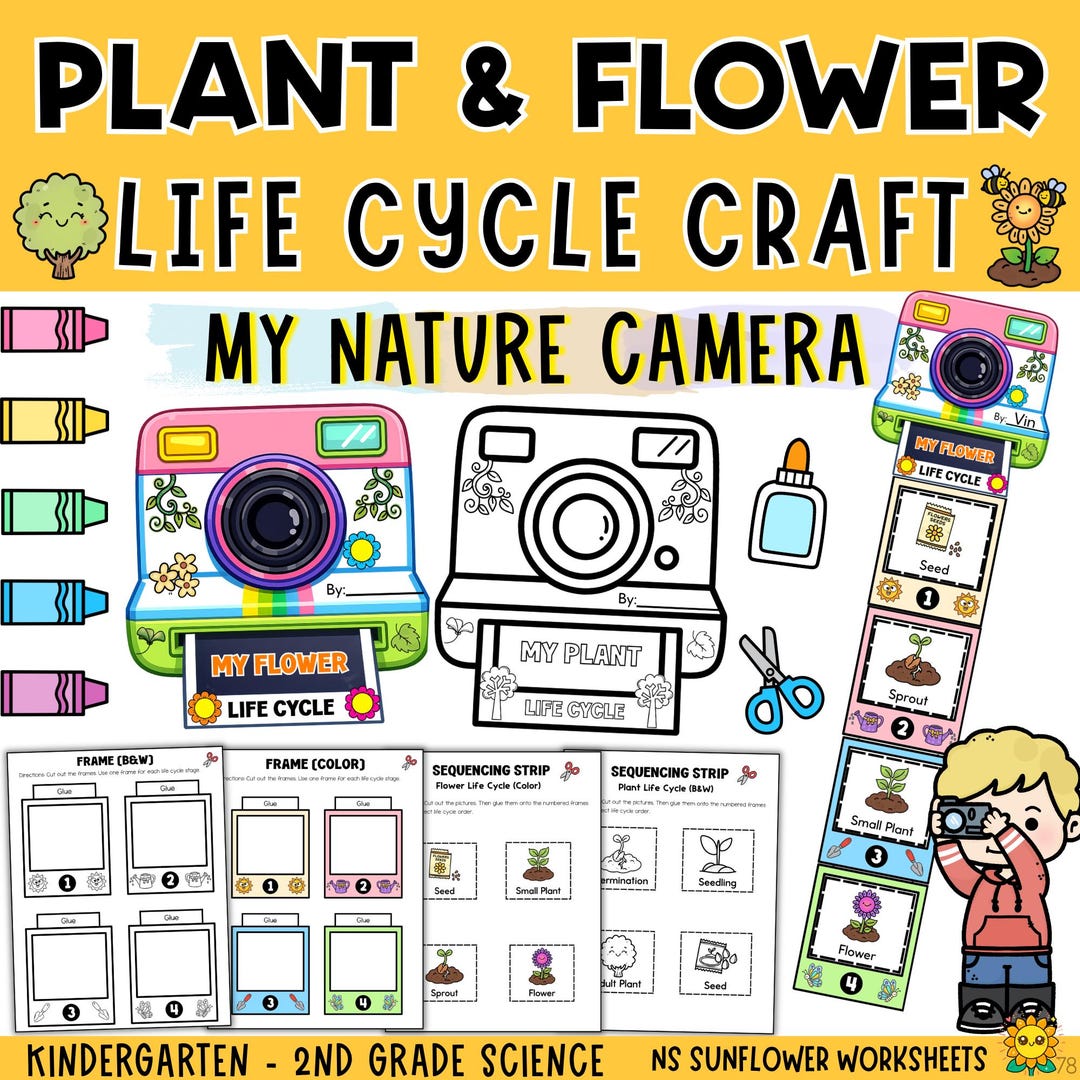 Plant & Flower Life Cycle Craft Printable | K-2 Science Sequencing ...