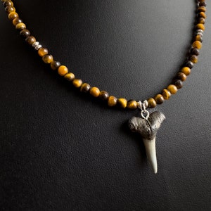 Women Tiger’s Eye Gemstone Fossil Shark Tooth Necklace