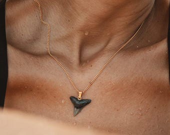 Women&#39;s Bull Shark Fossil Necklace - 18k Gold Waterproof (PVD) plated steel