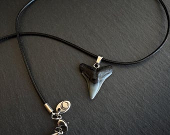 Real Fossilized Bull Shark Tooth Necklace - Black Cord - Gift Packaging