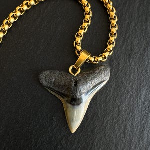 Fossil Bull Shark-ketting heren – 18 kt goud, waterdicht (PVD) geplateerd staal – Herensieraden