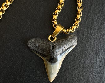 Men&#39;s Fossil Bull Shark Necklace - 18K Gold Waterproof (PVD) Plated Steel - Men&#39;s jewelry