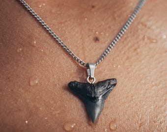 Women&#39;s Bull Shark Fossil Necklace - Stainless Steel