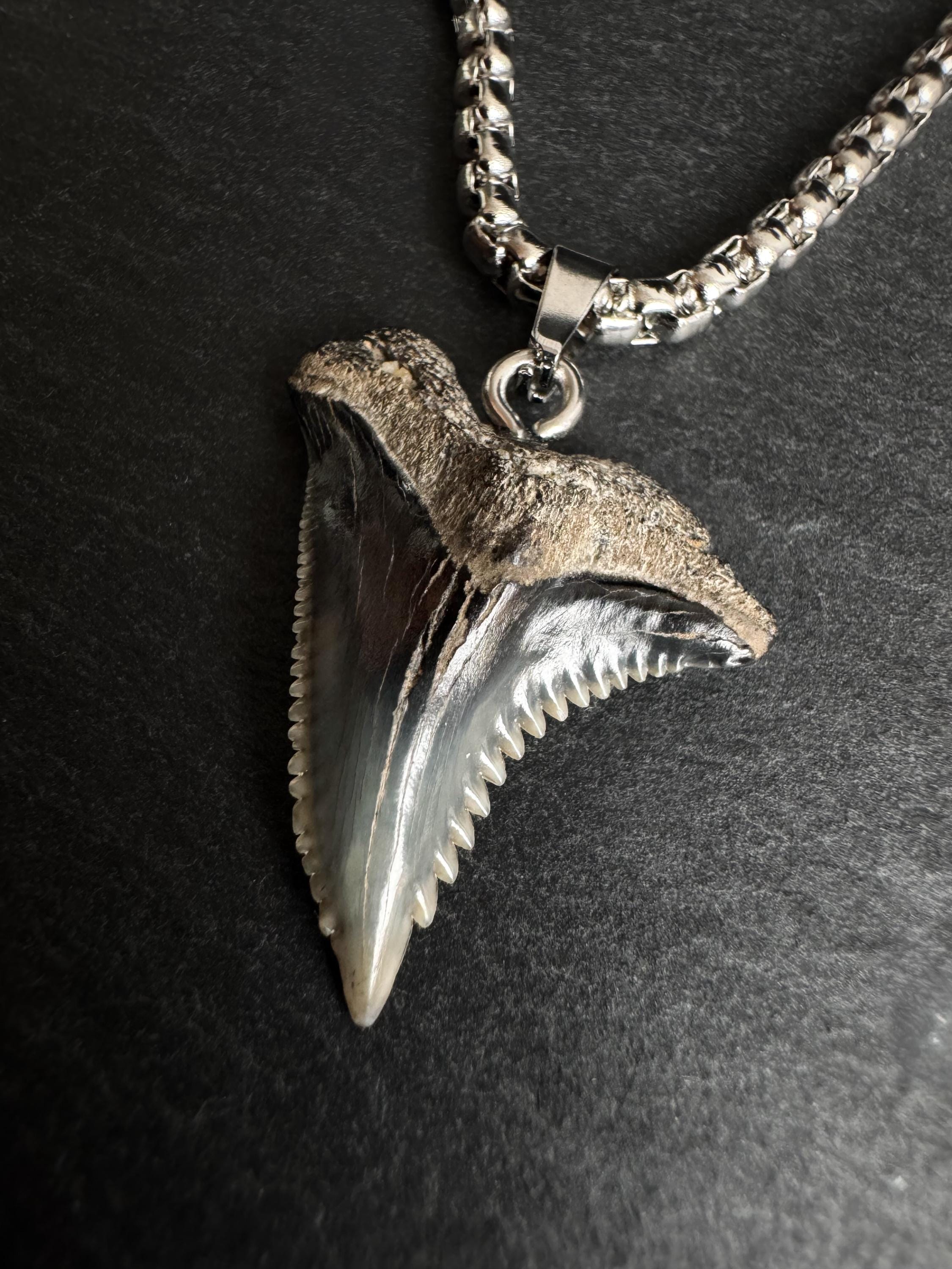 Real shark tooth necklace - Etsy 日本