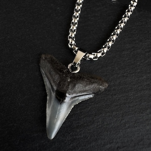 Fossiele stier haaientandketting heren - roestvrij staal - herensieraden
