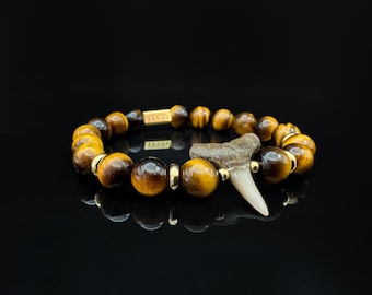 Fossil Shark Tooth Bracelet - Tiger&#39;s Eye natural gemstones - 18k Gold