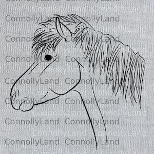 Op de afbeelding: Lijntekening van een paardenhoofd met een lange manen. Het paard kijkt naar links. De tekening is in zwart-wit.