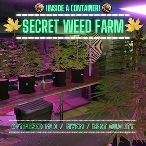 Secret Weed Farm | MLO / MAP | Fivem GTAV | Optimized | Drag and Drop Files | Best Quality |