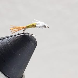 May include: A small, white and green fly fishing lure with a brown tail.