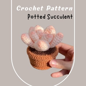 May include: A crocheted succulent plant in a brown pot. The succulent is pink and has a realistic appearance.