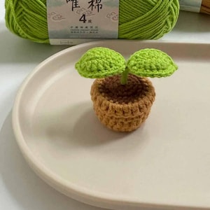 May include: A handmade crochet plant with two green leaves in a brown pot. The plant sits on a white oval tray, with a ball of green yarn in the background. The yarn label reads "Susan's Family".