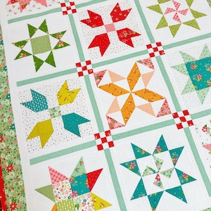 Garden Stars Sampler PDF Pattern #175