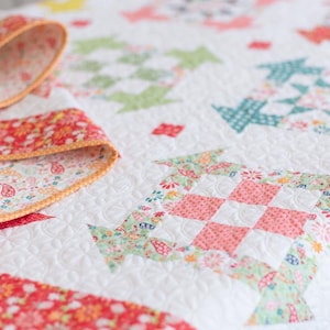 May include: A close-up of a white quilt with a floral pattern and arrow-shaped designs in shades of pink, green, and blue. The quilt has a red floral border and a folded section revealing a patterned underside.