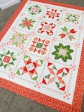 Poinsettia Stars Block of the Month QLD277