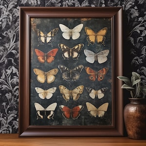 Butterfly Wall Art Printable Moth Insect Entomology Dark Academia Art Vintage Artful Trendy Wall Decor Gift Digital Download