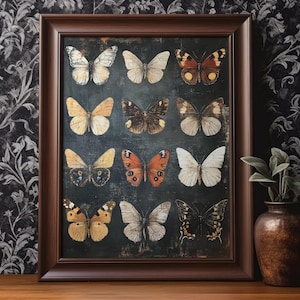 Butterfly Wall Art Printable Luna Moths Insect Entomology Dark Academia Art Vintage Wall Decor Gift Digital Download
