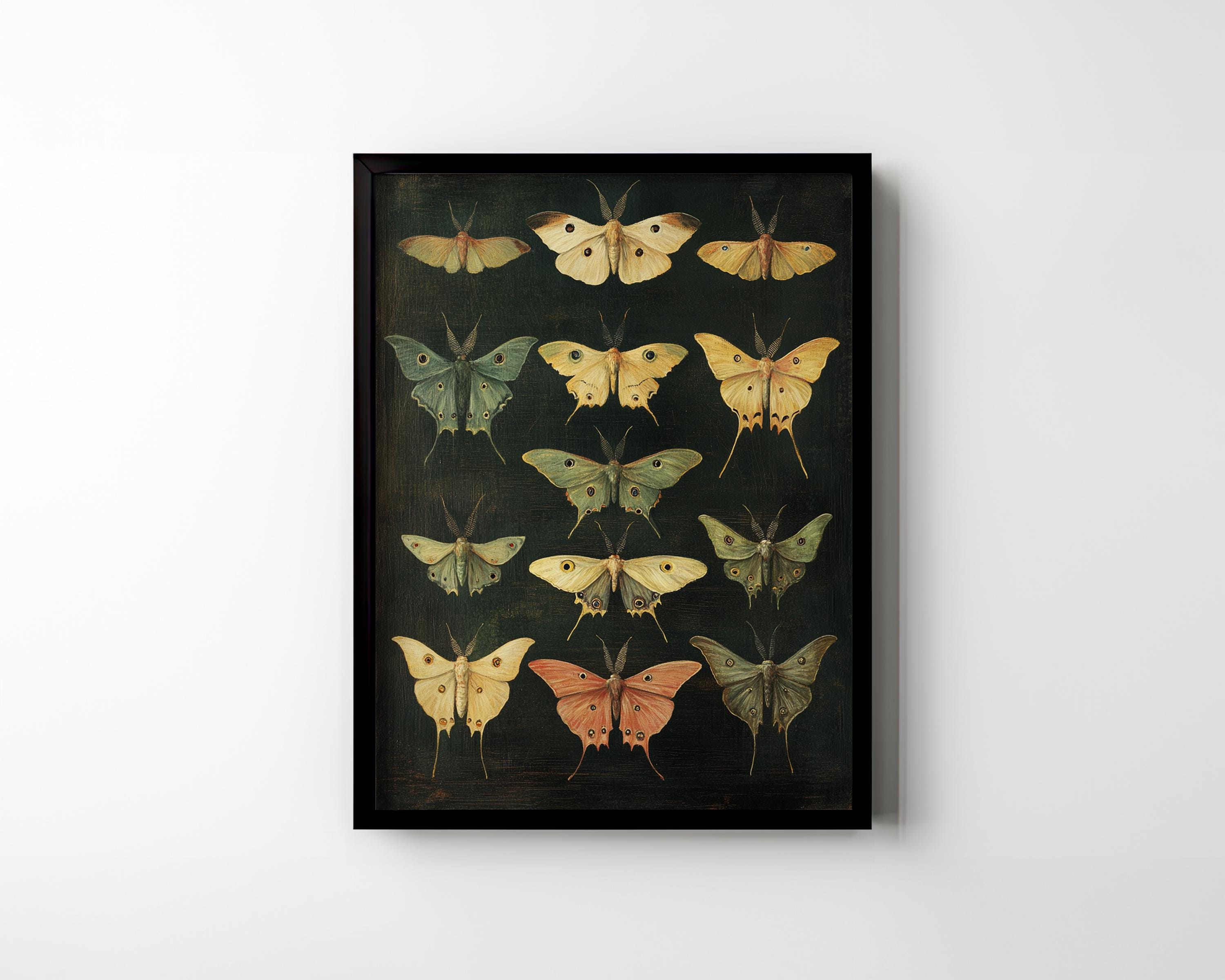 Luna Moth Poster Print Dark Academia Wall Decor Insect Entomology Moody ...
