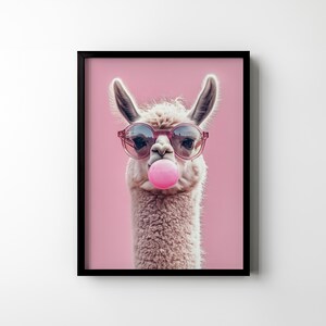 May include: A white llama wearing pink sunglasses and blowing a pink bubble on a pink background.