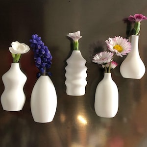 Set von 5 Magnetischen Mini Vasen: Kühlschrank Dekor für kleine Blumen