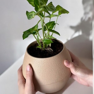 Maceta de riego automático Hydro Pot Advanced para un cuidado y crecimiento de las plantas sin esfuerzo