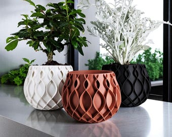 May include: Three rounded plant pots featuring a repeating lattice pattern on the exterior. One pot is white, one is terracotta orange, and one is black. Each pot contains a green or silver-toned plant with textured leaves and stems.