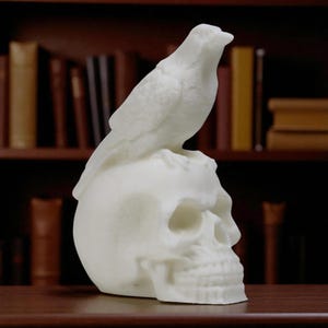 Raven on Skull Statue, Crow on Skull Figurine, Gothic Halloween Decor, Raven Skull Ornament, Dark Academia Raven Sculpture
