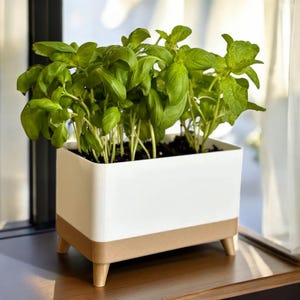 Maceta Herb Haven: Elegante jardín interior con drenaje automático