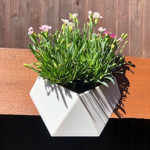 May include: White geometric planter with a variety of pink and white flowers growing in it. The planter is mounted on a wooden fence.