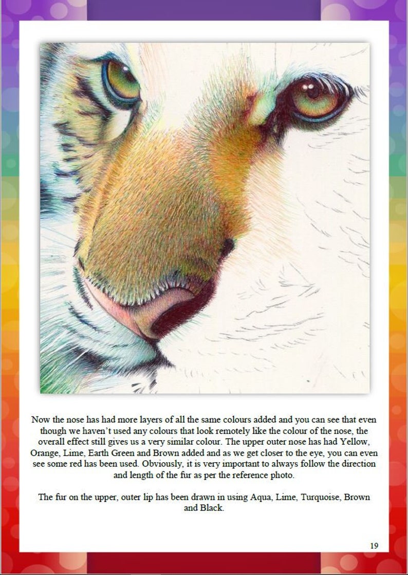 Step by Step Art Tutorial Tiger in Ballpoint Pen on Etsy