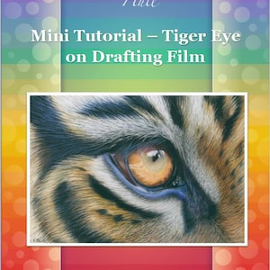 May include: A close-up of a tiger's eye, drawn in colored pencil on drafting film. The image is part of a mini tutorial on drawing a tiger eye on drafting film. The text "Karen Hull" and "Mini Tutorial - Tiger Eye on Drafting Film" is at the top of the image. The text "Step by Step Art Tutorials www.karenhullart.com hullfamily1@bigpond.com" is at the bottom of the image.