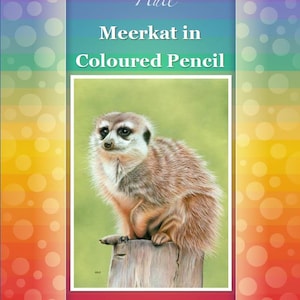 May include: A meerkat drawn in coloured pencil, sitting on a wooden post against a green background. The image is titled "Meerkat in Coloured Pencil" and includes the artist's name, Karen Hull, and website, www.karenhullart.com.